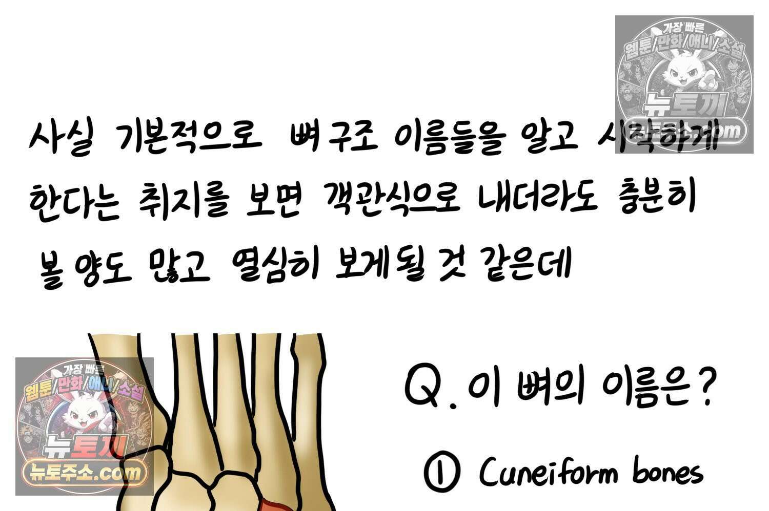 재활용 머학생 142화 골학을 알아보자(2) 58