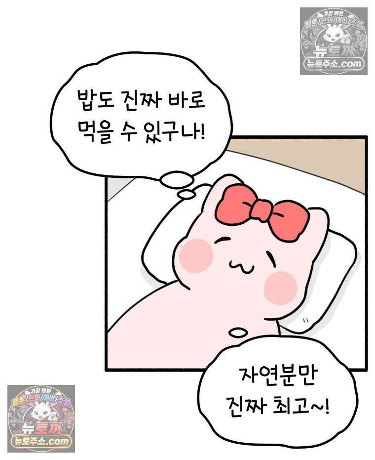 멍냥패밀리 37화 자연분만이 선불? 31