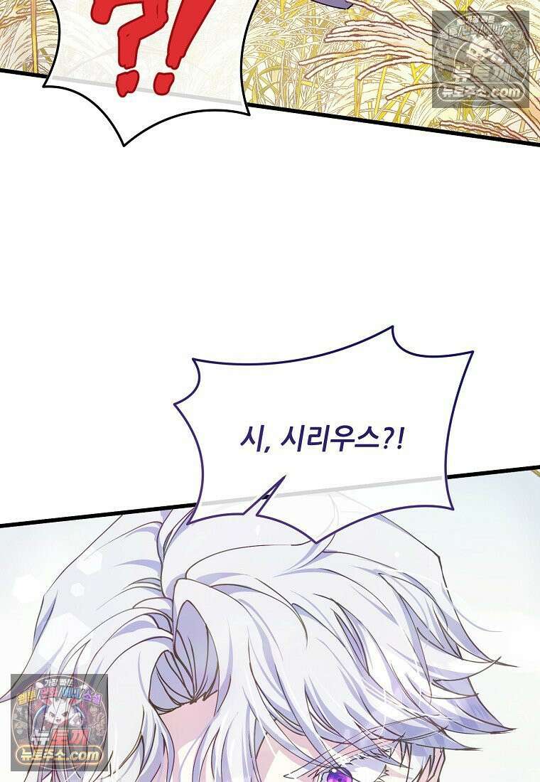 주인공 옆에 붙어만 있겠습니다 74화 16