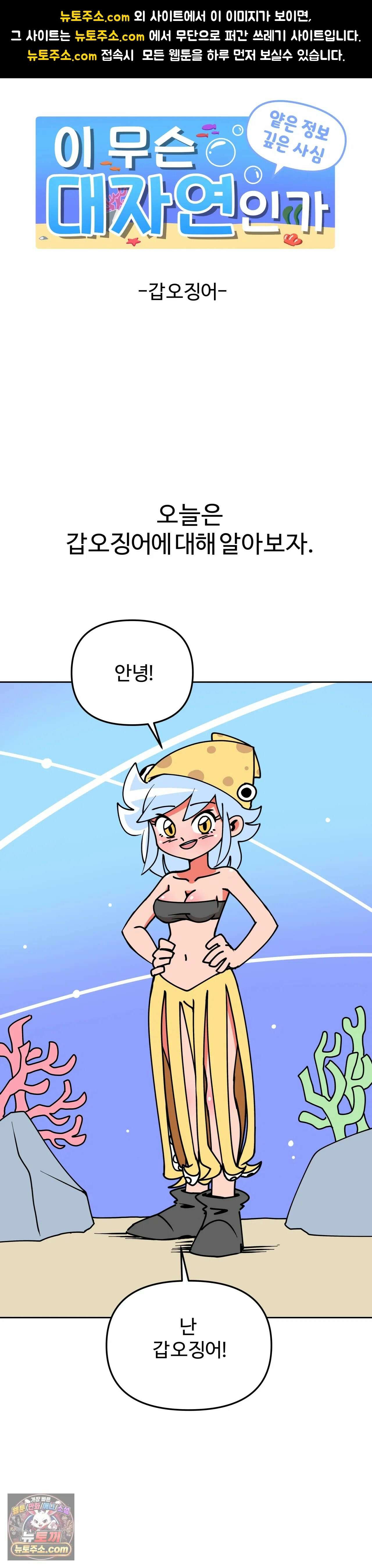 이 무슨 대자연인가 5화 - 갑오징어 1