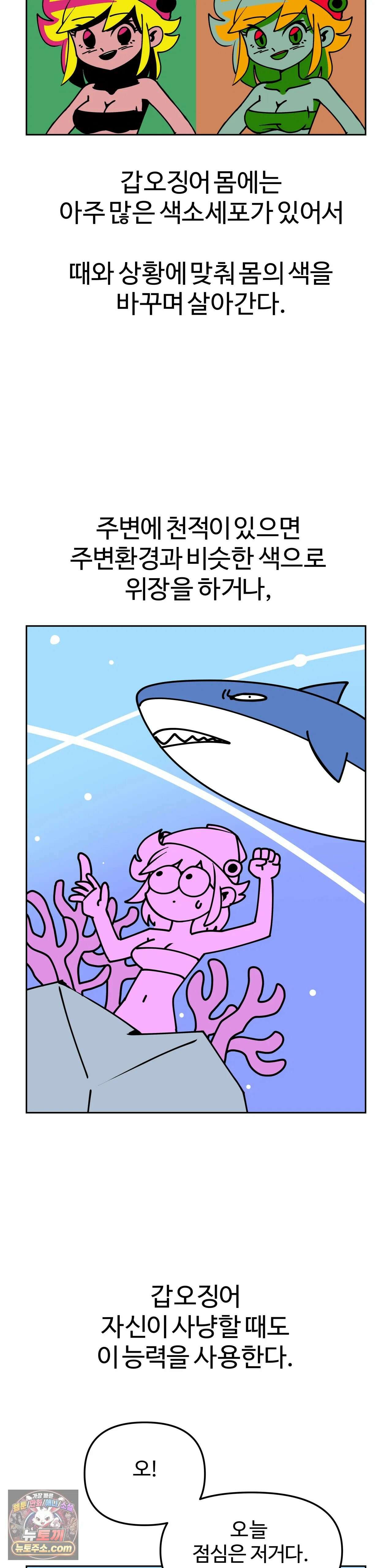 이 무슨 대자연인가 5화 - 갑오징어 3