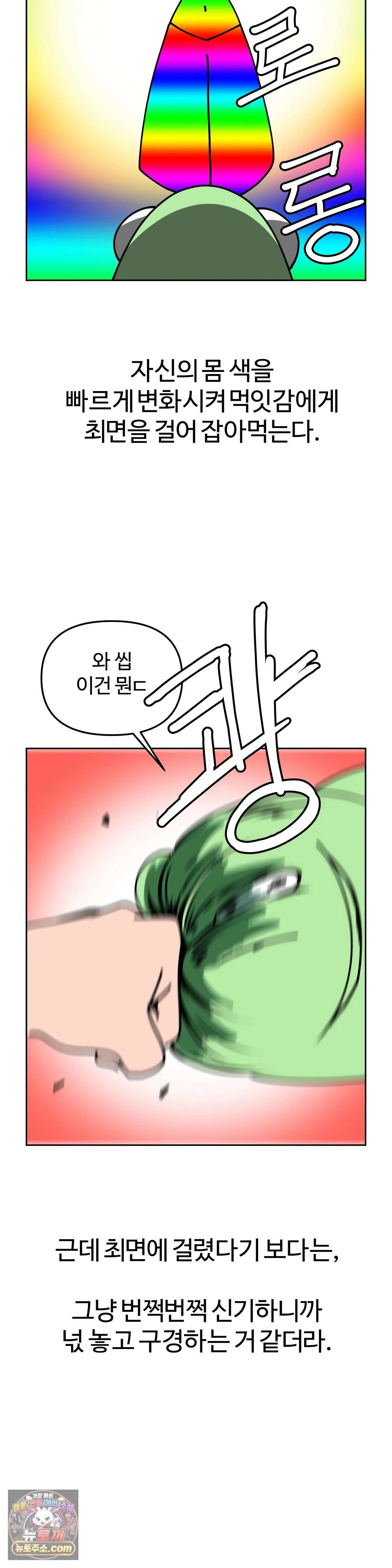이 무슨 대자연인가 5화 - 갑오징어 5