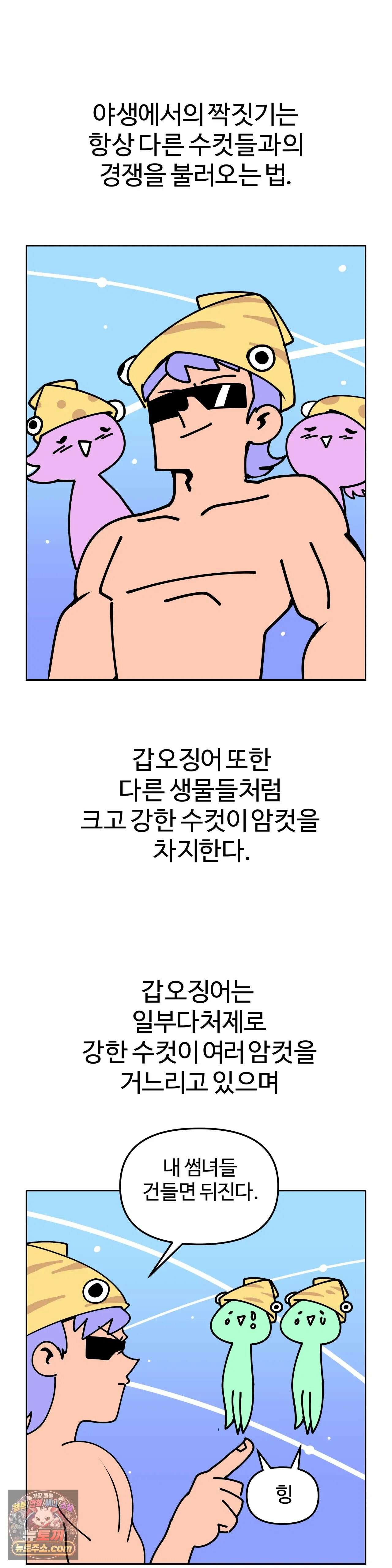 이 무슨 대자연인가 5화 - 갑오징어 6