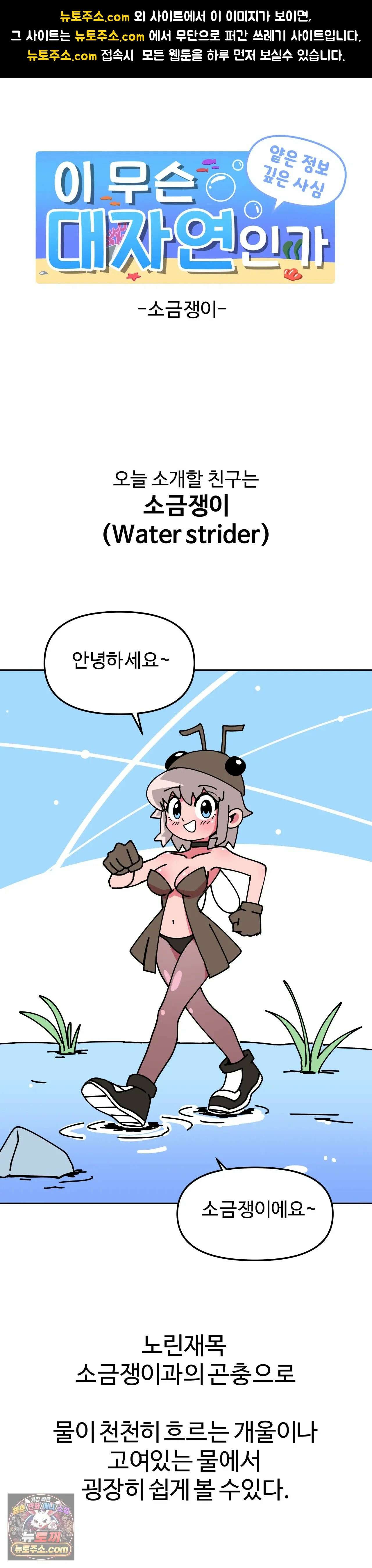 이 무슨 대자연인가 10화 - 소금쟁이 1