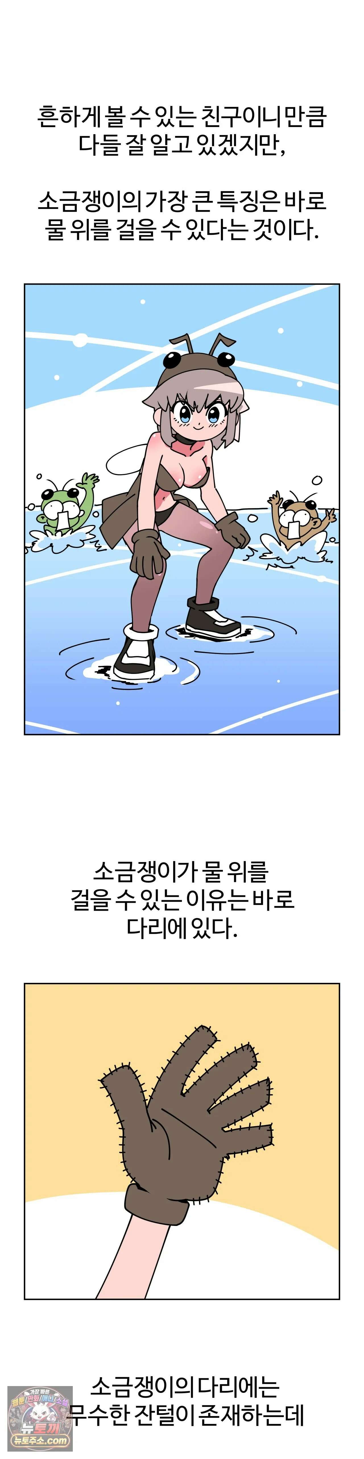 이 무슨 대자연인가 10화 - 소금쟁이 2