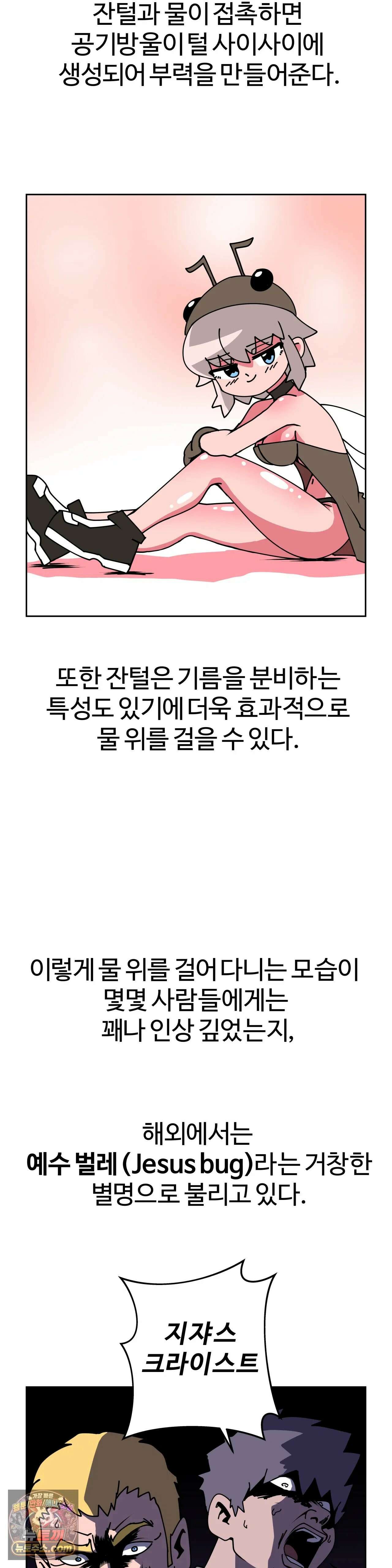 이 무슨 대자연인가 10화 - 소금쟁이 3