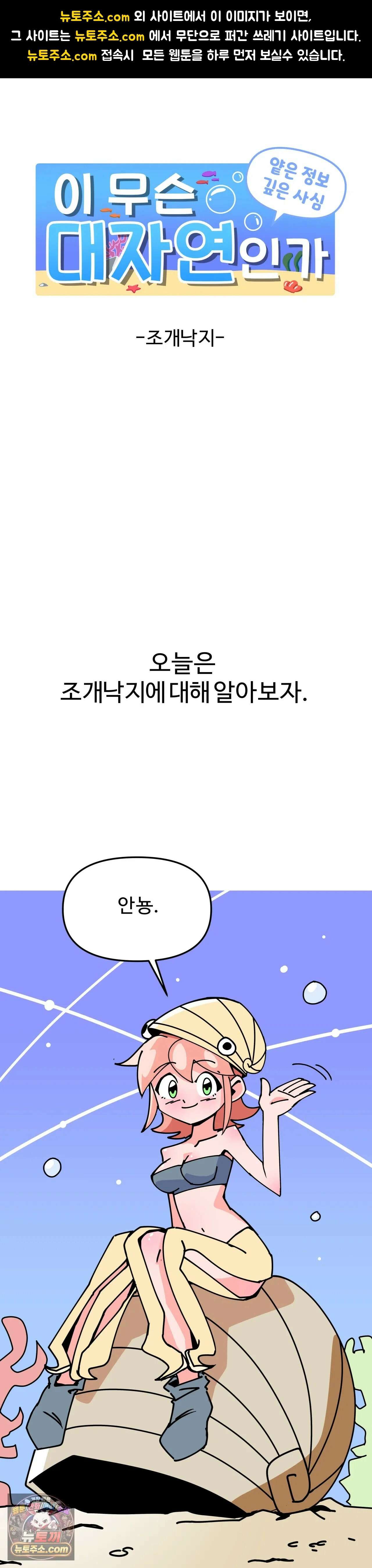 이 무슨 대자연인가 12화 - 조개낙지 1