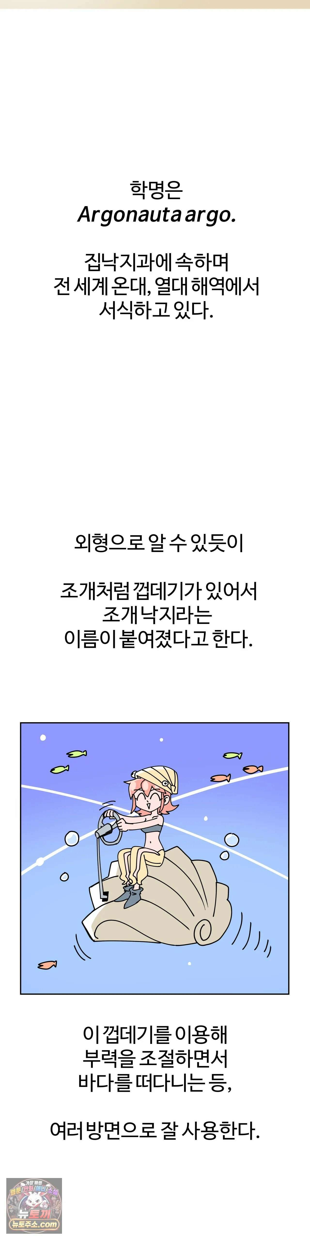 이 무슨 대자연인가 12화 - 조개낙지 2