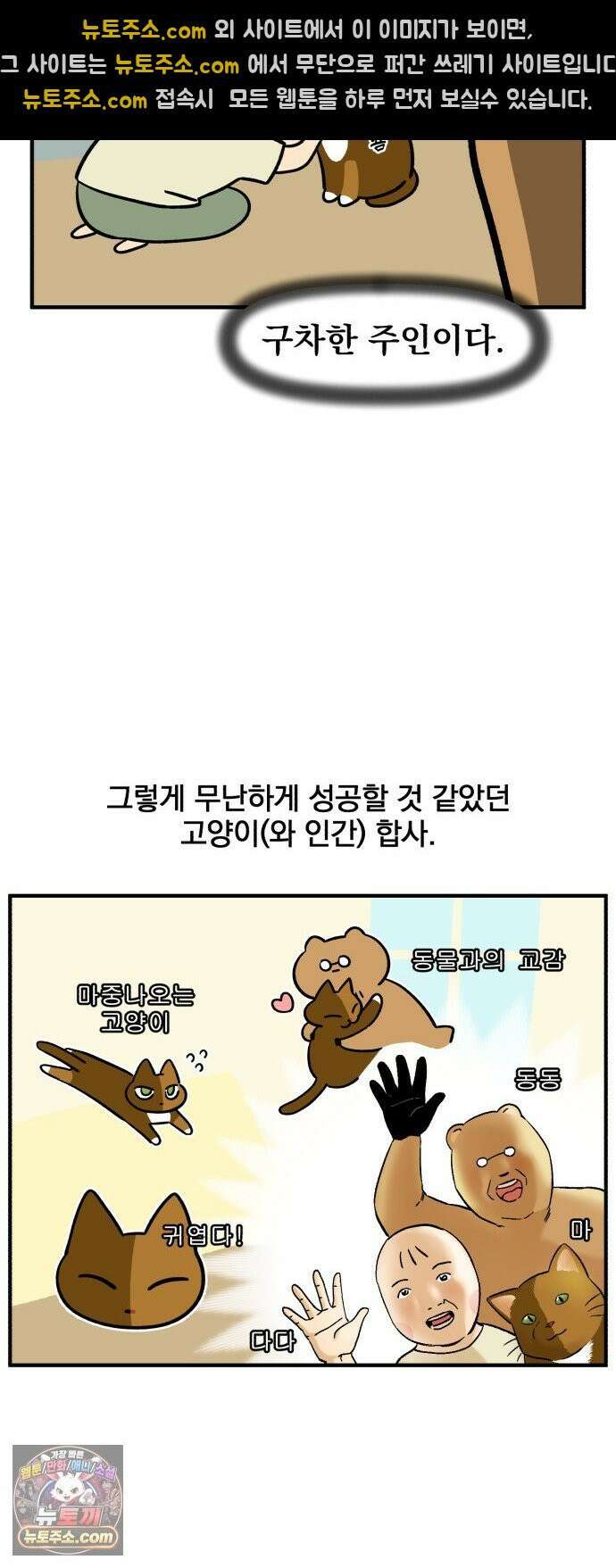 커플이상 부부미만 10화 - 고양이(와 인간) 합사 11
