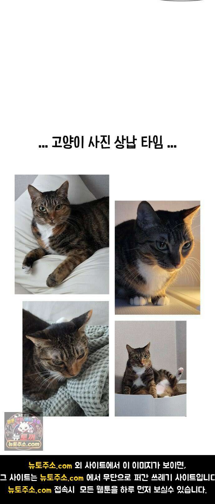 커플이상 부부미만 10화 - 고양이(와 인간) 합사 20