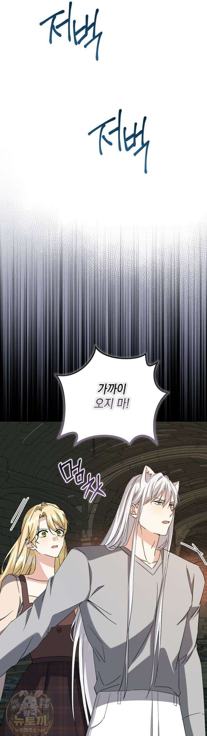 이세계에서 불법으로 동물병원을 개원했습니다 40화 11
