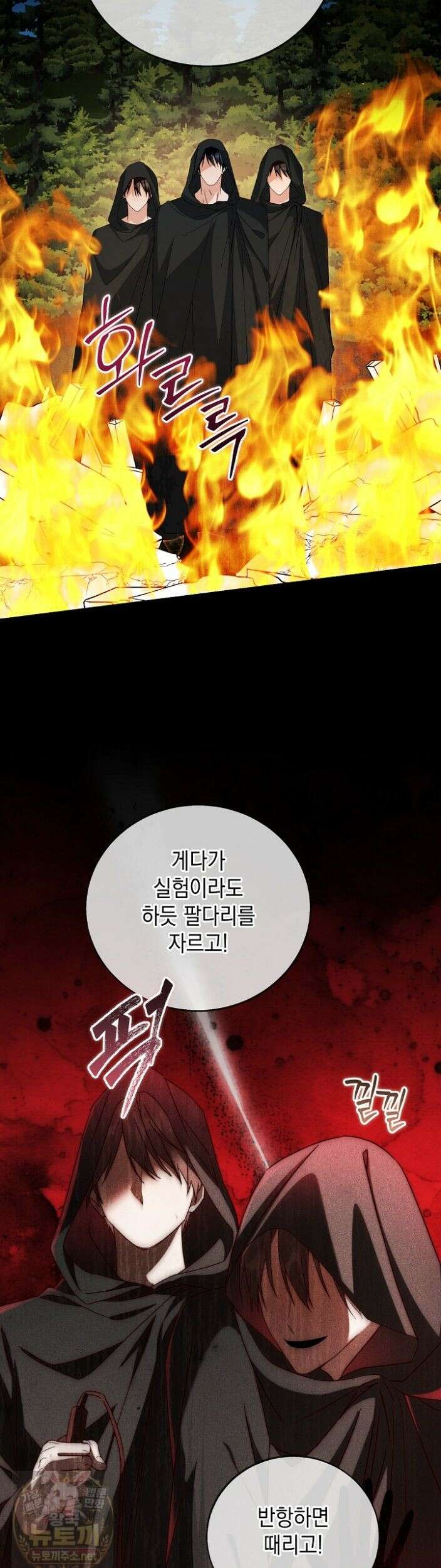 이세계에서 불법으로 동물병원을 개원했습니다 40화 21