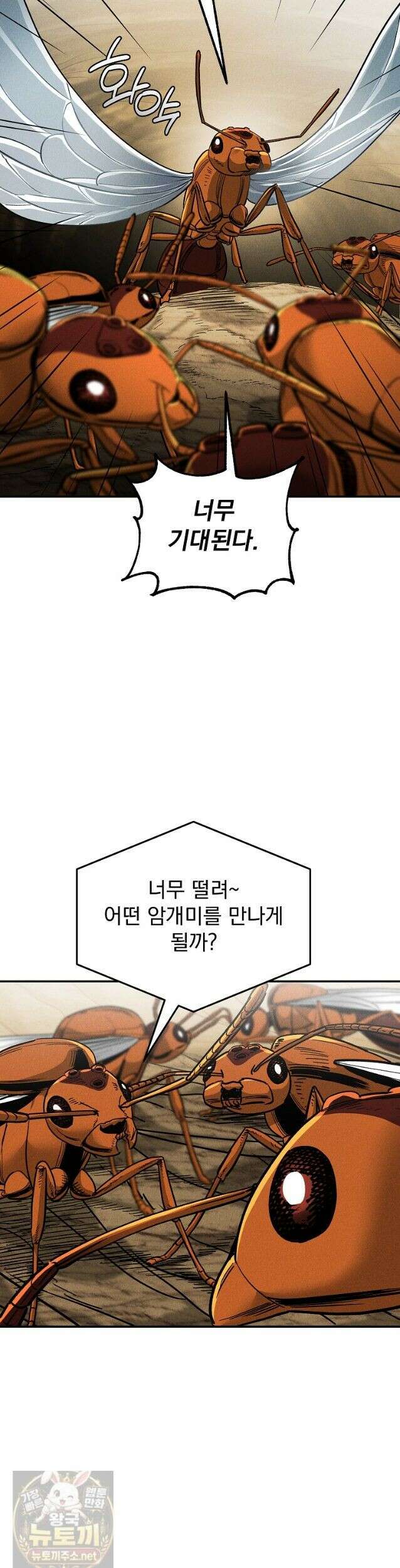 개미 36화 6