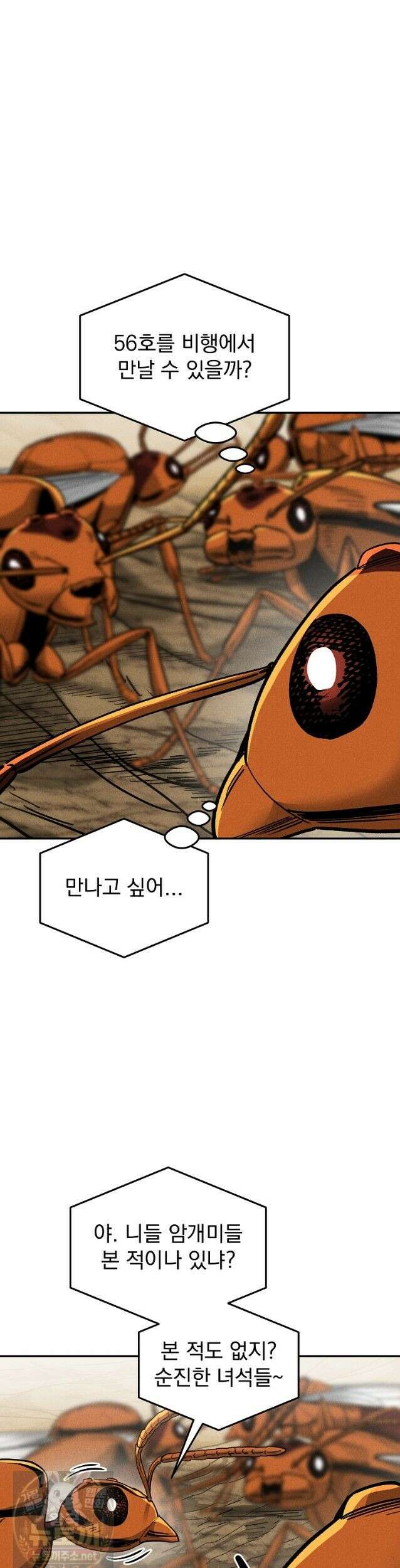개미 36화 7
