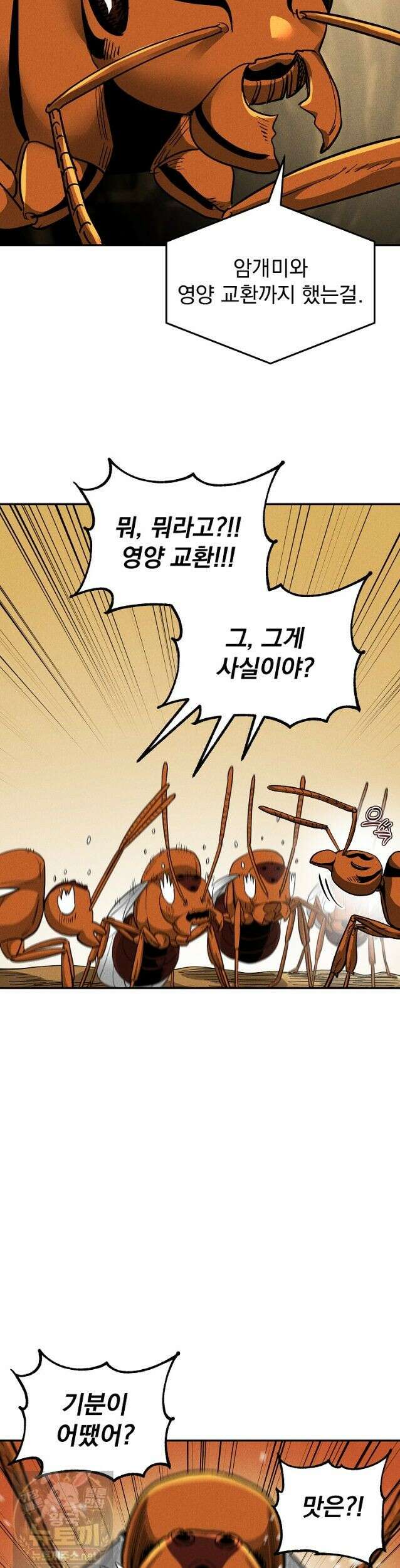 개미 36화 9