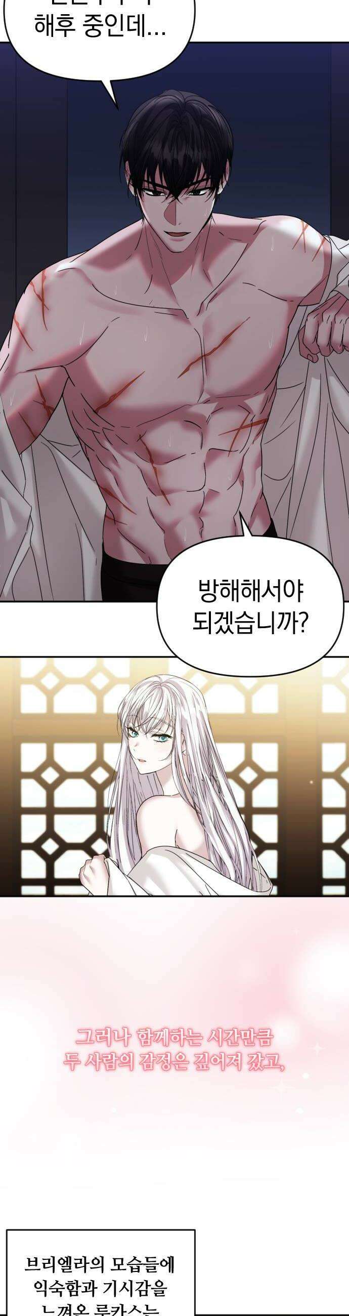 복수를 위한 결혼동맹 요약편  시즌12 몰아보기 28