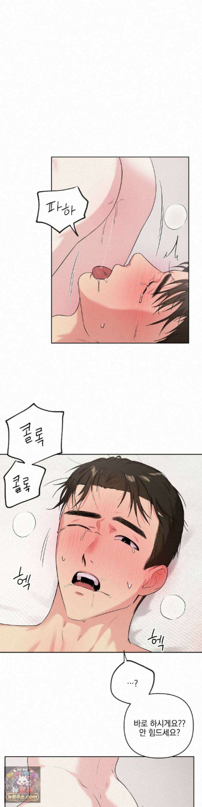 뻐꾸기는 둥지를 떠나지 않는다 47화 - 최종화 1