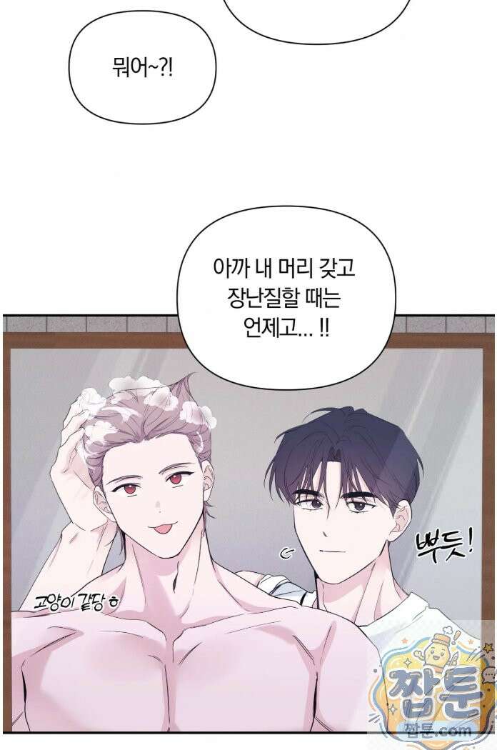 밤은 부드러워라 25화 5