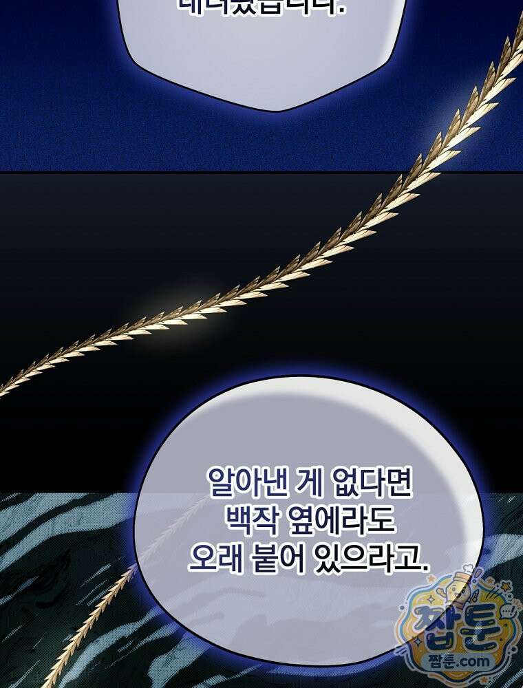 새 남편을 구합니다 50화 12