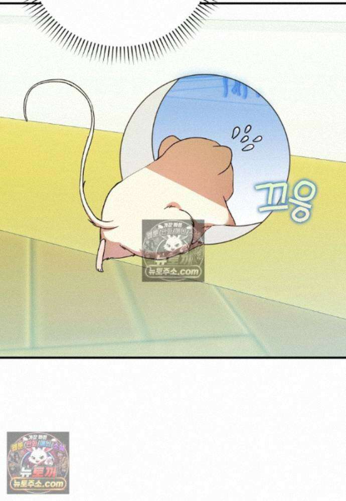 신데렐라는 이 멧밭쥐가 데려갑니다 25화 11