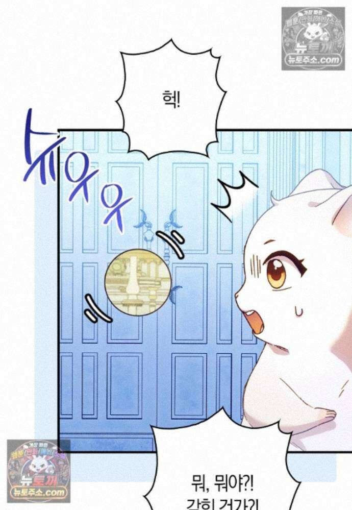 신데렐라는 이 멧밭쥐가 데려갑니다 25화 12