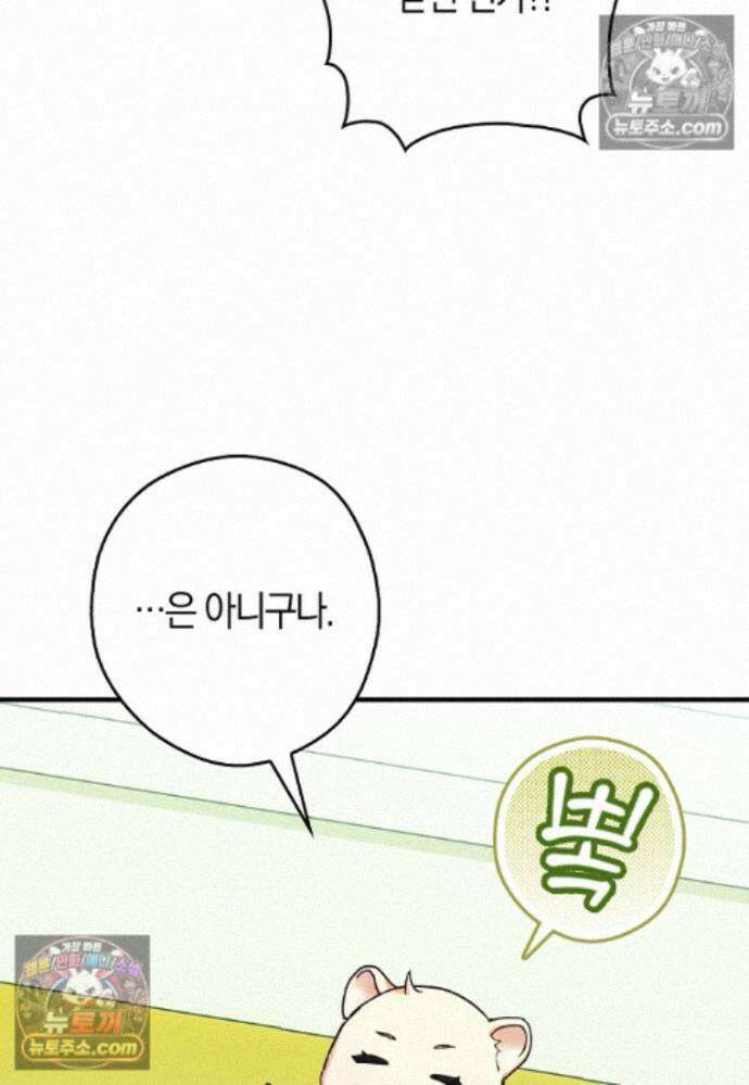 신데렐라는 이 멧밭쥐가 데려갑니다 25화 13