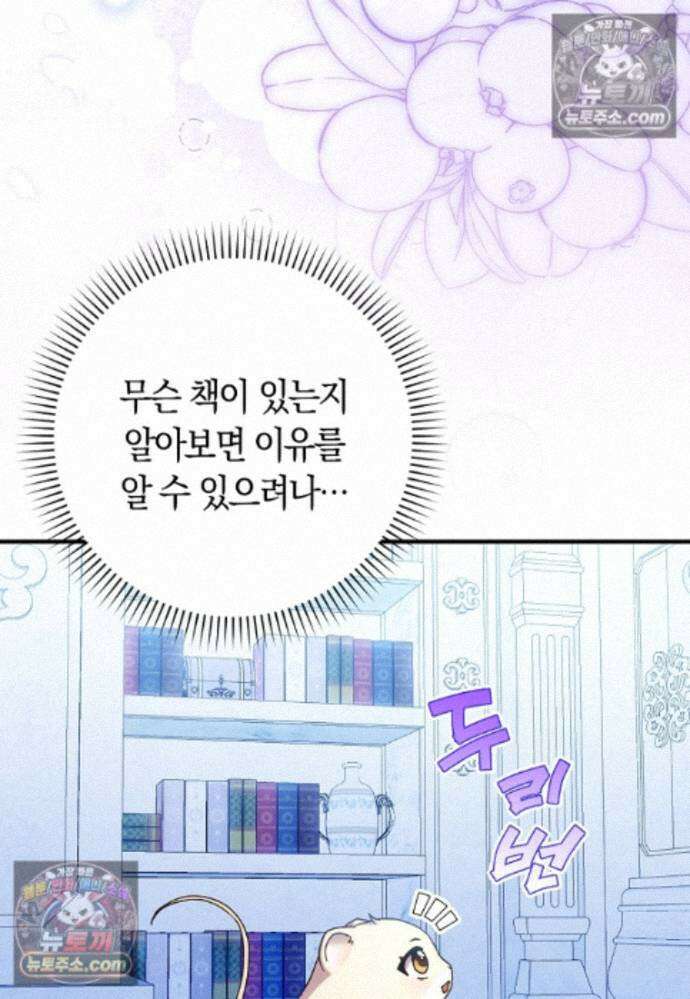 신데렐라는 이 멧밭쥐가 데려갑니다 25화 17
