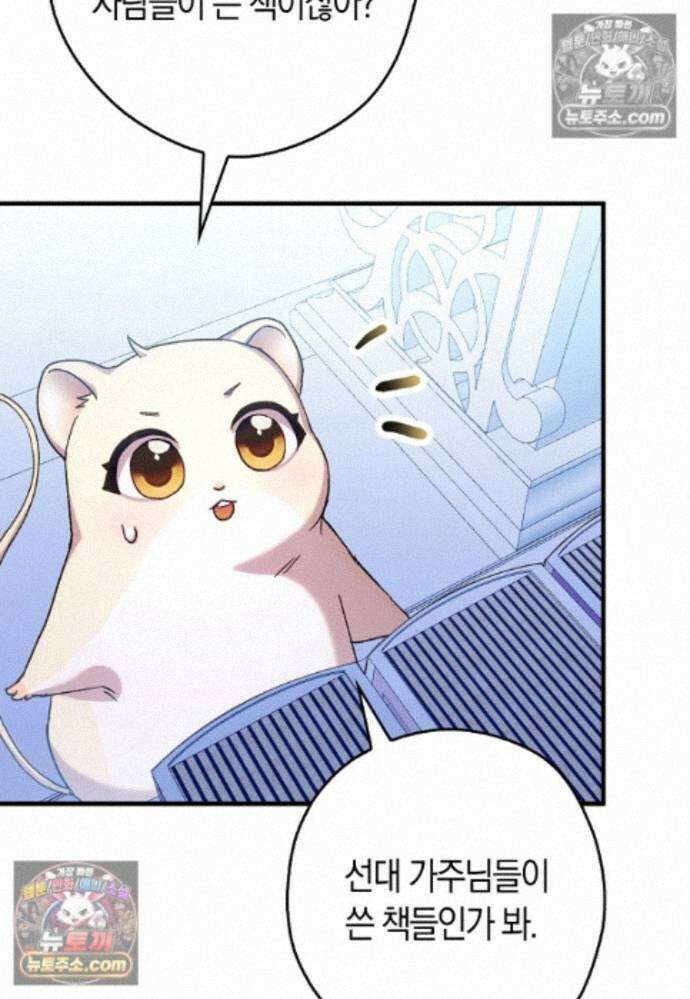 신데렐라는 이 멧밭쥐가 데려갑니다 25화 19