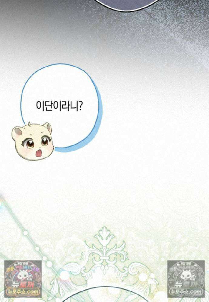 신데렐라는 이 멧밭쥐가 데려갑니다 34화 11