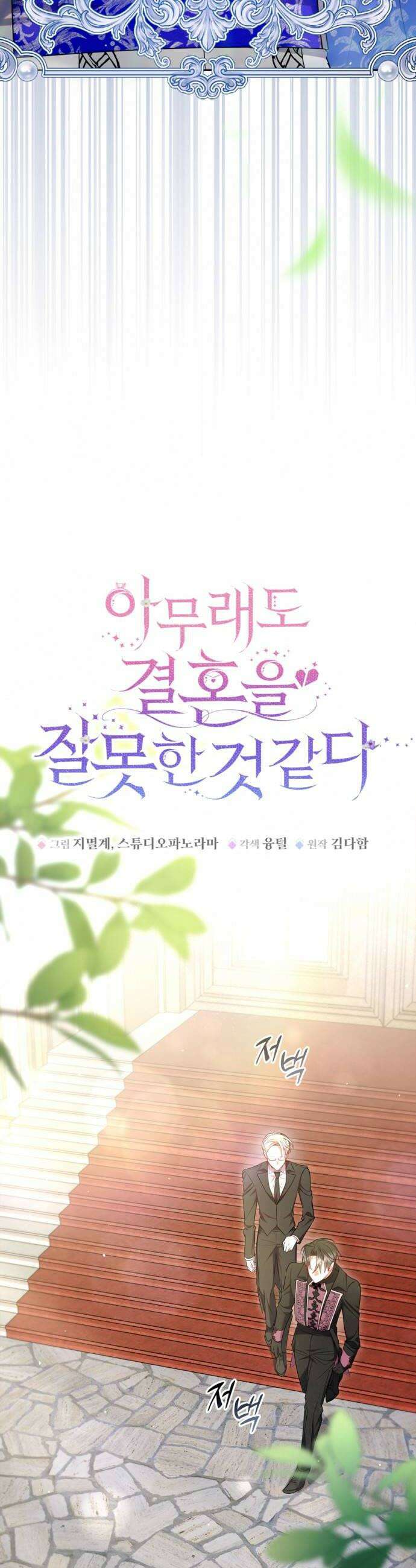 아무래도 결혼을 잘못한 것 같다 46화 10