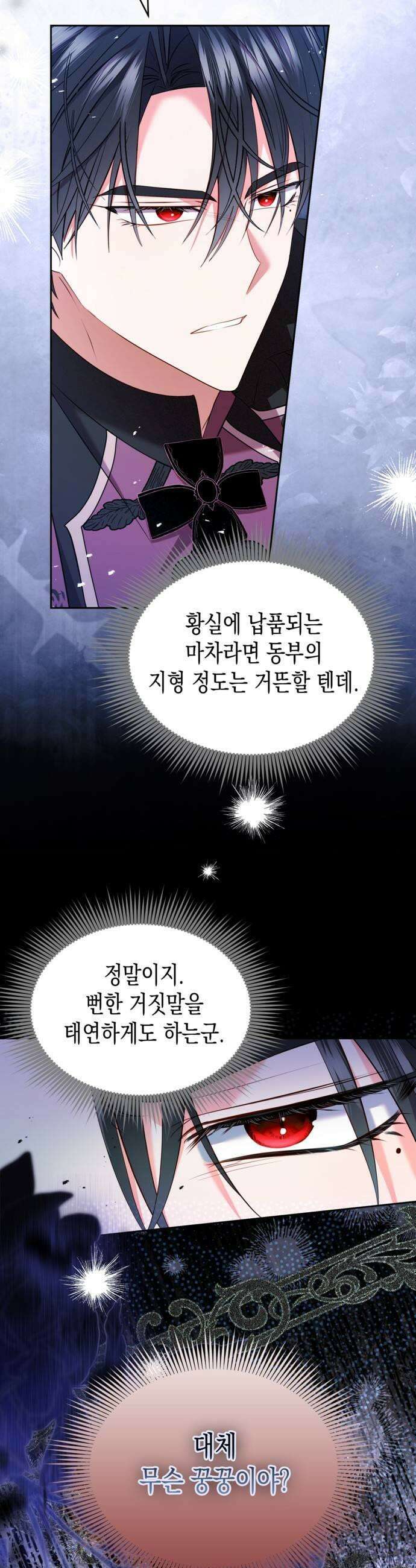 아무래도 결혼을 잘못한 것 같다 46화 17
