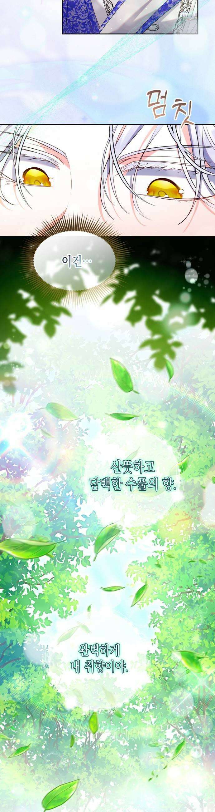 아무래도 결혼을 잘못한 것 같다 46화 31