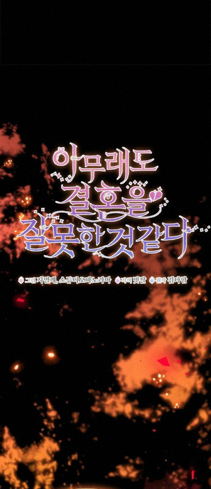 아무래도 결혼을 잘못한 것 같다 62화 24