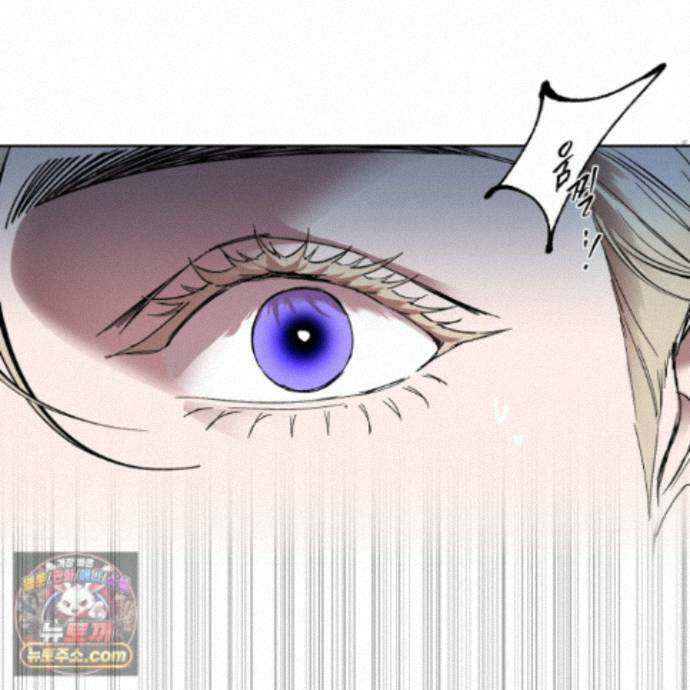 얀의 결박 39화 9