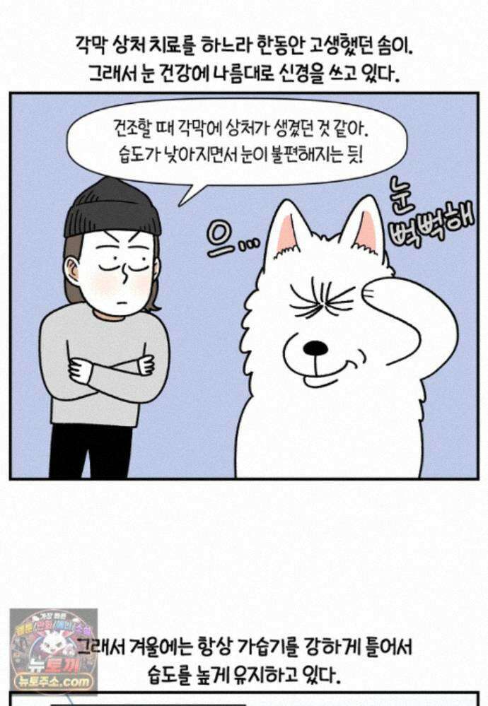 극한견주 시즌2 140화 눈 건강을 소중히 2
