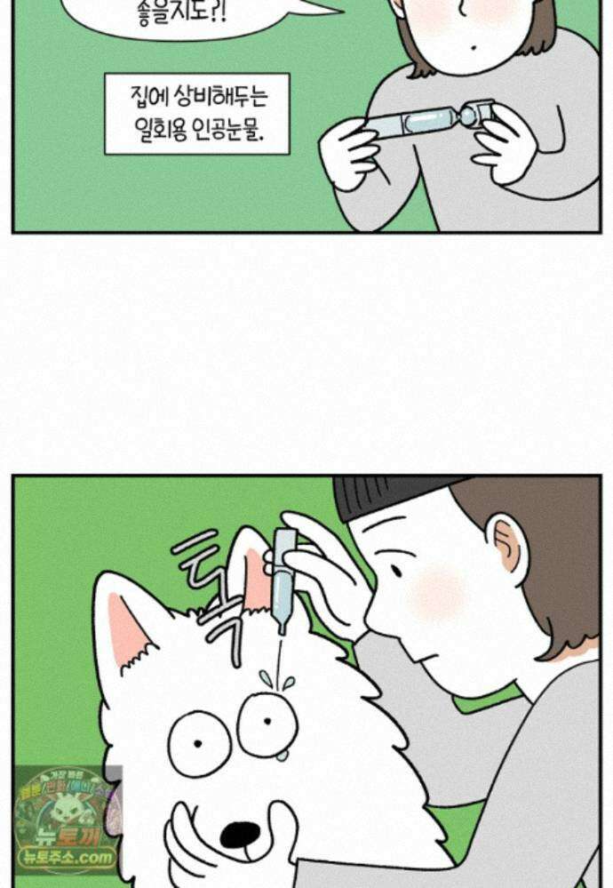 극한견주 시즌2 140화 눈 건강을 소중히 4