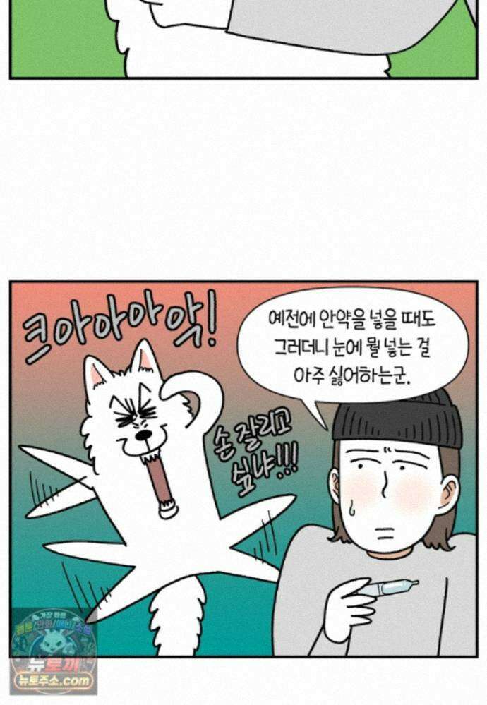 극한견주 시즌2 140화 눈 건강을 소중히 5