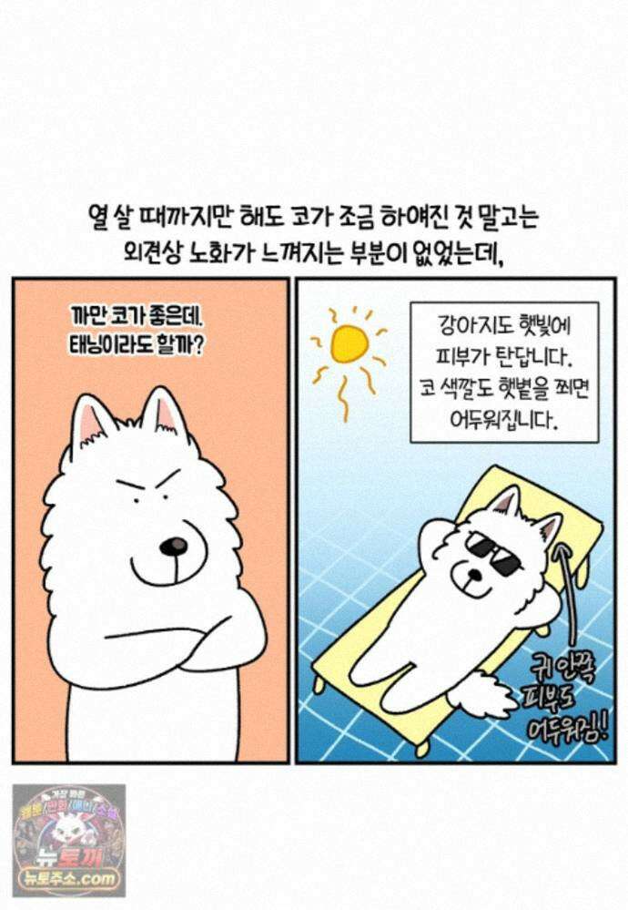 극한견주 시즌2 140화 눈 건강을 소중히 6