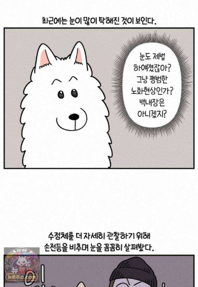 극한견주 시즌2 140화 눈 건강을 소중히 7