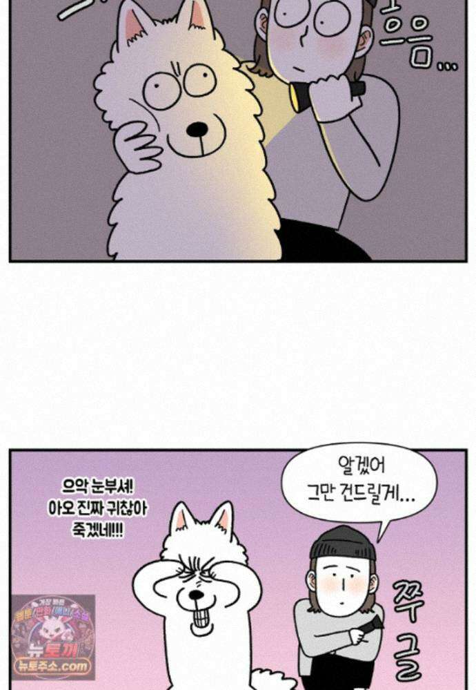 극한견주 시즌2 140화 눈 건강을 소중히 8