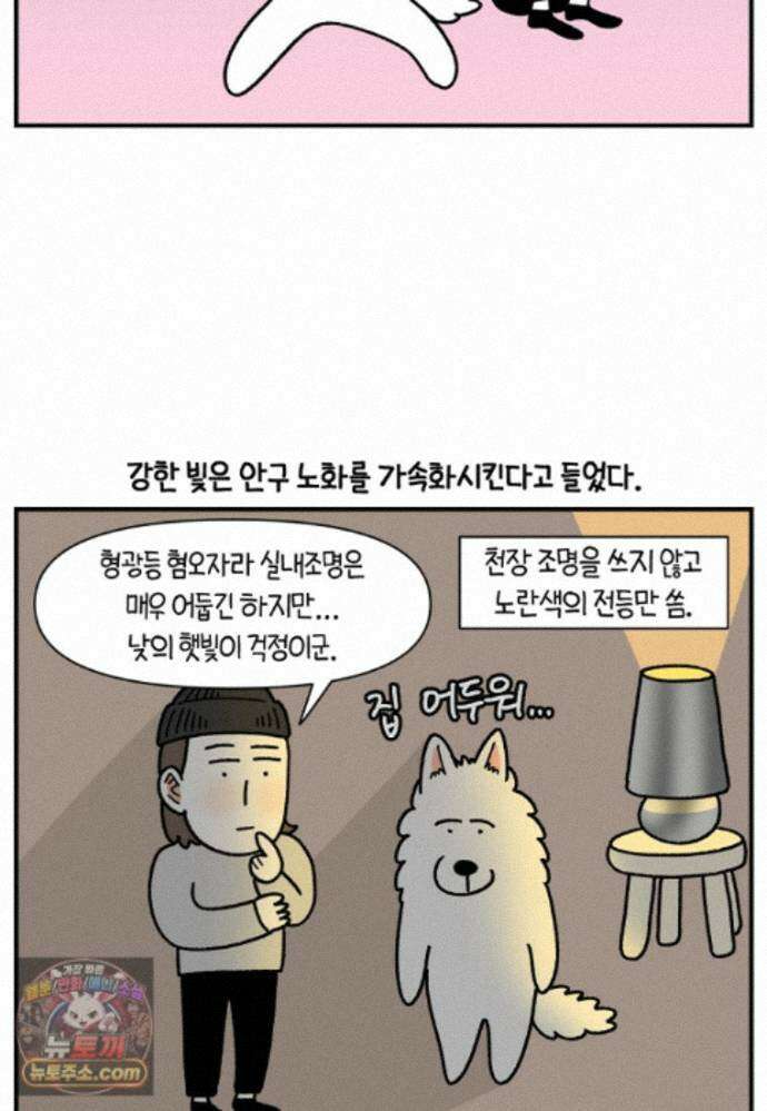 극한견주 시즌2 140화 눈 건강을 소중히 9