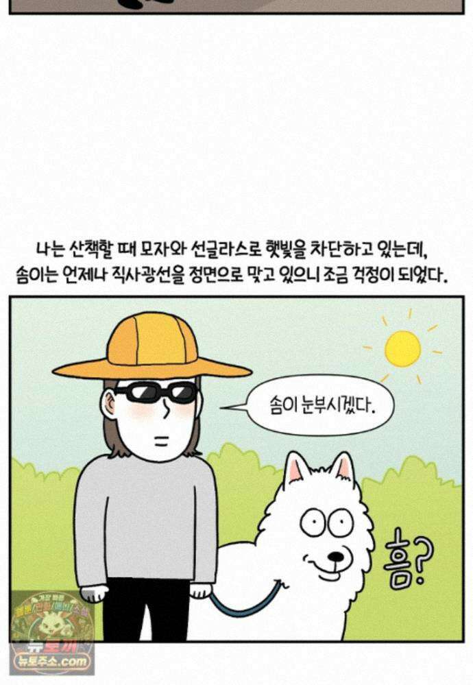 극한견주 시즌2 140화 눈 건강을 소중히 10