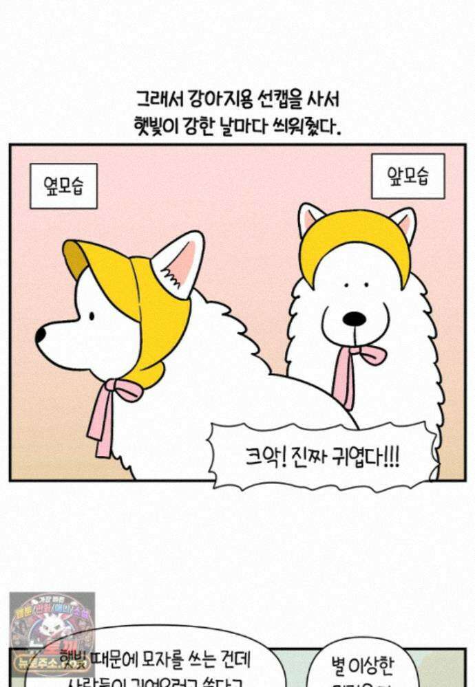 극한견주 시즌2 140화 눈 건강을 소중히 11