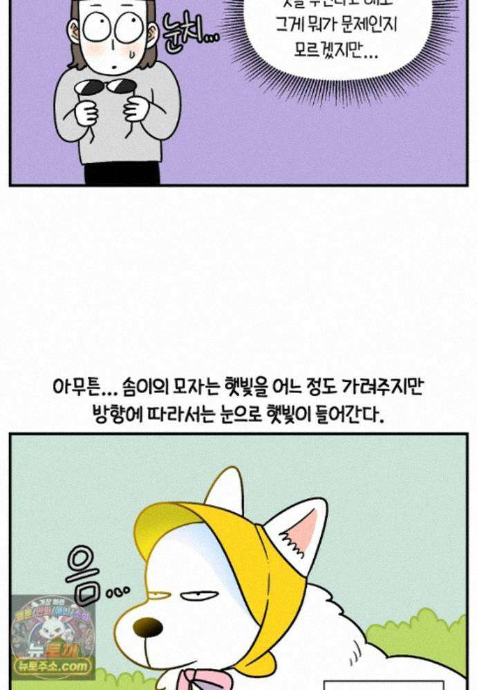 극한견주 시즌2 140화 눈 건강을 소중히 13