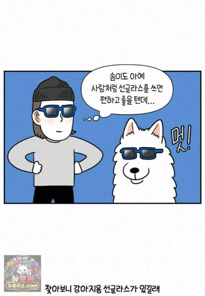 극한견주 시즌2 140화 눈 건강을 소중히 15