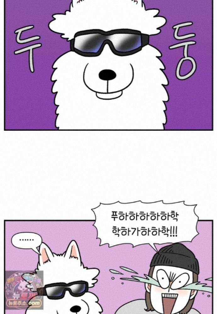 극한견주 시즌2 140화 눈 건강을 소중히 17