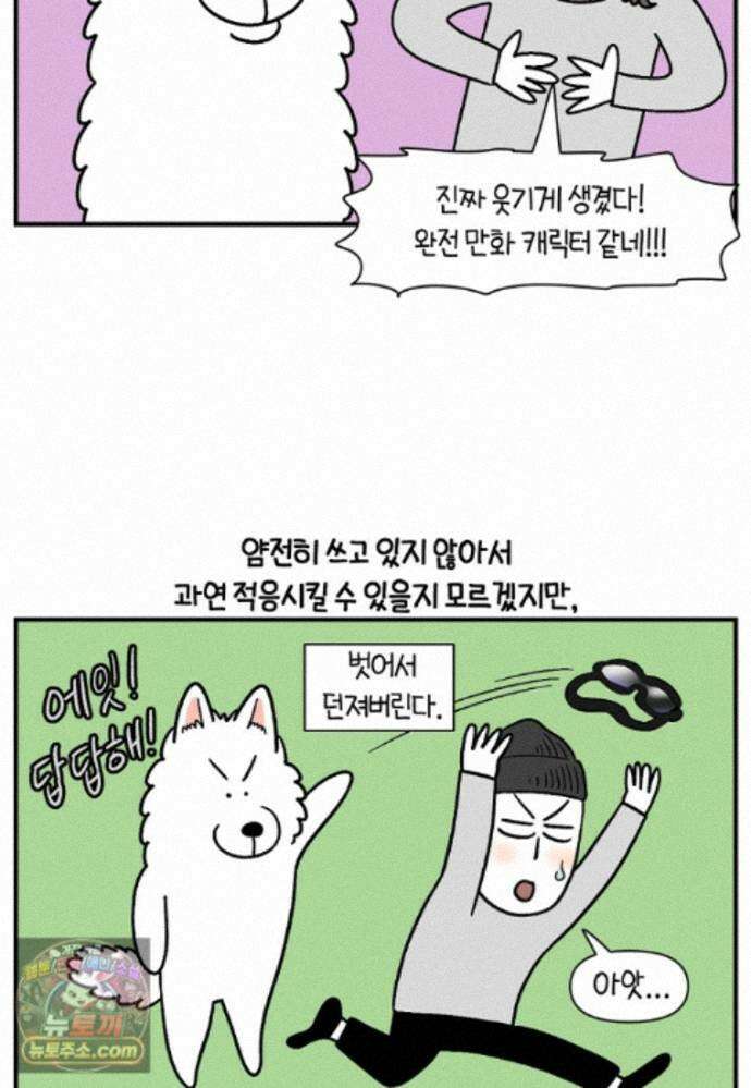 극한견주 시즌2 140화 눈 건강을 소중히 18
