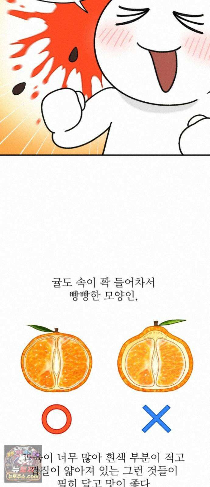 먹는 인생2 59화 초당옥수수 5