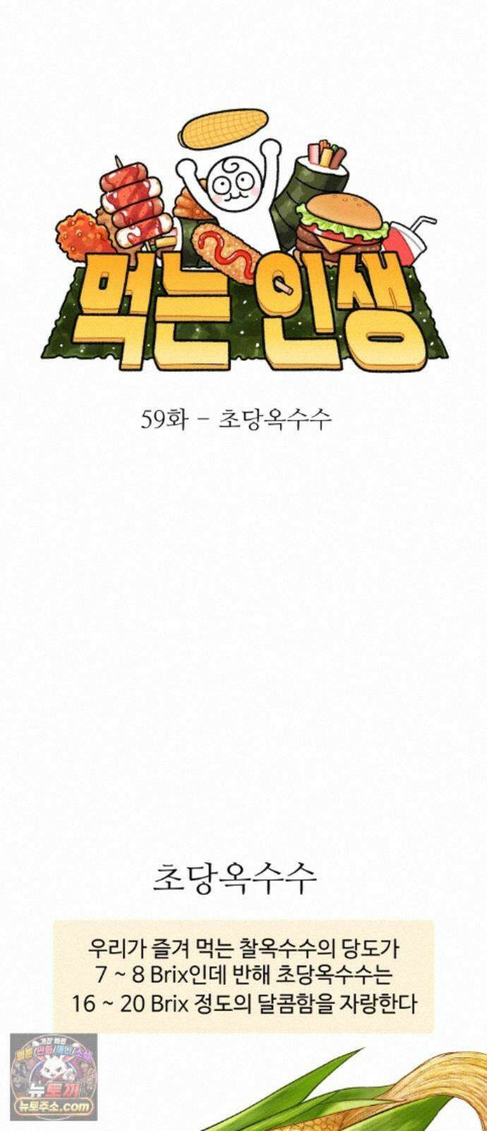 먹는 인생2 59화 초당옥수수 7