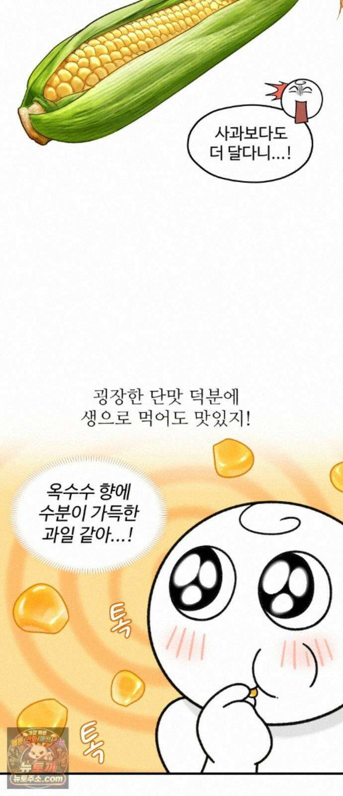먹는 인생2 59화 초당옥수수 8